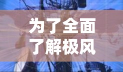 为了全面了解极风加速器的官网信息，可以按照以下步骤进行