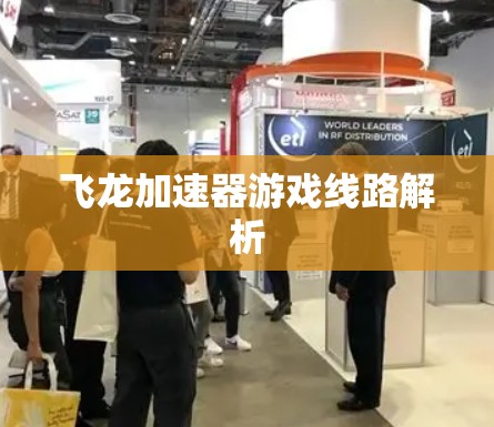 飞龙加速器游戏线路解析