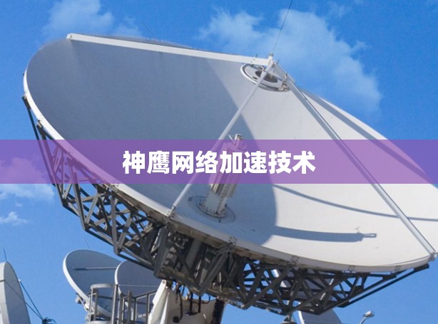神鹰网络加速技术