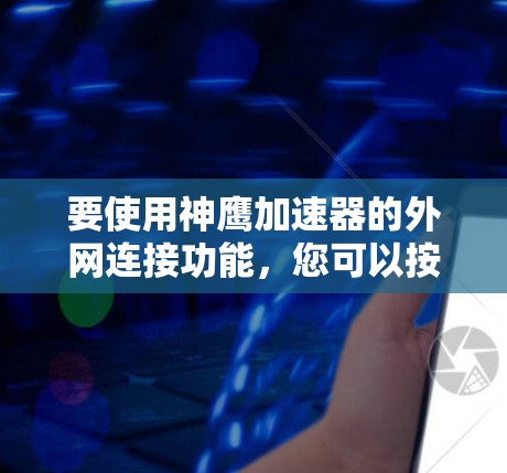 要使用神鹰加速器的外网连接功能，您可以按照以下步骤操作