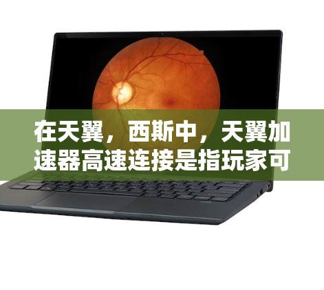 在天翼，西斯中，天翼加速器高速连接是指玩家可以在车辆上使用的资源，用于加速车辆行驶。高速连接可能指的是加速器在高速公路上的表现，包括其在高速度下的稳定性和性能。以下是关于这一主题的详细分析