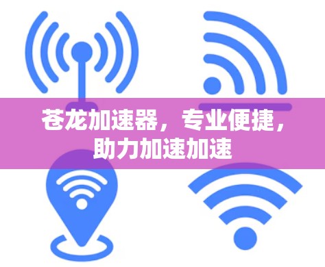 苍龙加速器，专业便捷，助力加速加速