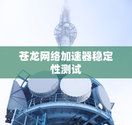 苍龙网络加速器稳定性测试
