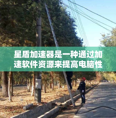 星盾加速器是一种通过加速软件资源来提高电脑性能的工具,适合在PC端使用。以下是详细的使用步骤和建议