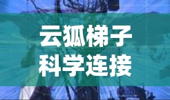 云狐梯子科学连接是一个结合了云狐和科学连接的术语,可能指的是在云计算或大数据环境中,通过科学的方法和数据连接来优化系统的运行效率和稳定性。以下是对此术语的详细解释