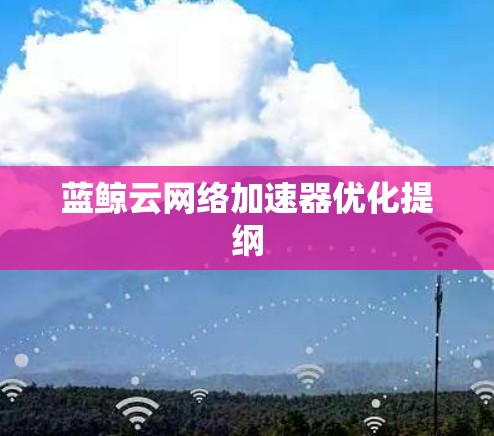 蓝鲸云网络加速器优化提纲