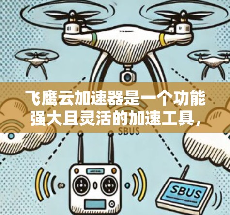 飞鹰云加速器是一个功能强大且灵活的加速工具，适合多种网络加速需求。以下是对该工具的详细总结
