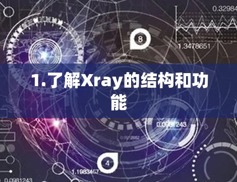 1.了解Xray的结构和功能