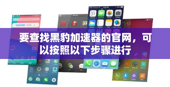 要查找黑豹加速器的官网，可以按照以下步骤进行