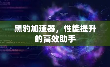 黑豹加速器，性能提升的高效助手