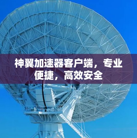 神翼加速器客户端，专业便捷，高效安全