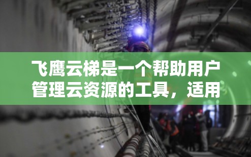 飞鹰云梯是一个帮助用户管理云资源的工具，适用于服务器、存储和云存储等场景。以下是对飞鹰云梯的详细步骤和功能