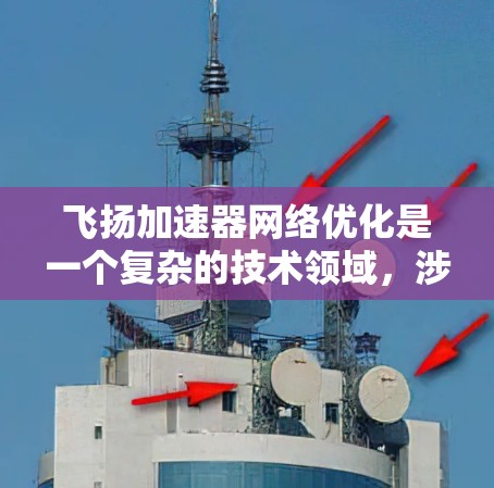飞扬加速器网络优化是一个复杂的技术领域，涉及多个方面，包括工具本身、优化方法和应用前景。以下是对飞扬加速器网络优化的详细分析