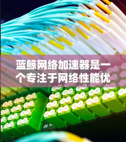 蓝鲸网络加速器是一个专注于网络性能优化的工具，通常用于提升速度、减少延迟和节省带宽。如果你对蓝鲸网络加速器的网络优化感兴趣，以下是一些基本的步骤和建议