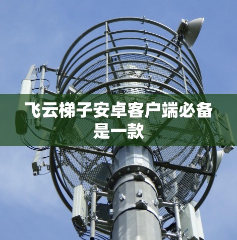 飞云梯子安卓客户端必备是一款