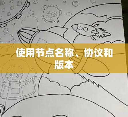 使用节点名称、协议和版本