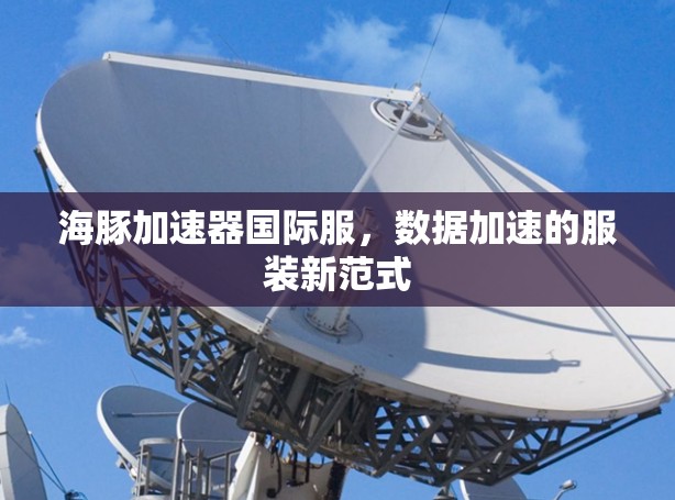 海豚加速器国际服,数据加速的服装新范式
