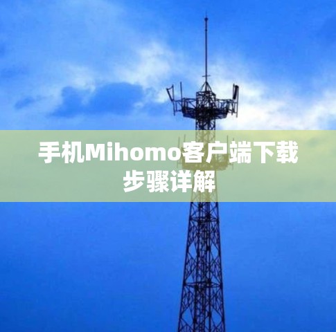 手机Mihomo客户端下载步骤详解