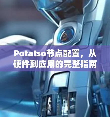 Potatso节点配置，从硬件到应用的完整指南