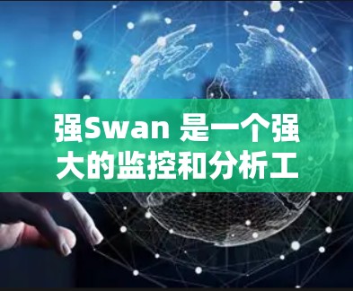 强Swan 是一个强大的监控和分析工具，主要用于实时监控和数据分析。以下是对强Swan 使用指南的详细分析